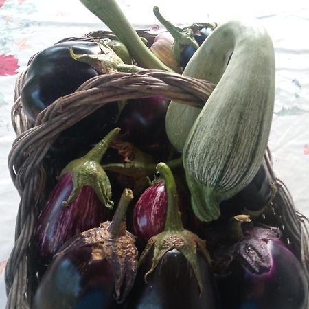 Agri Bertorella คูเนโอ ภายนอก รูปภาพ